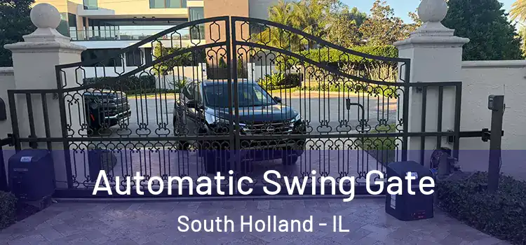  Automatic Swing Gate South Holland - IL