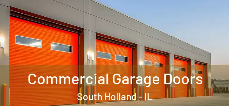  Commercial Garage Doors South Holland - IL