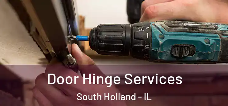 Door Hinge Services South Holland - IL