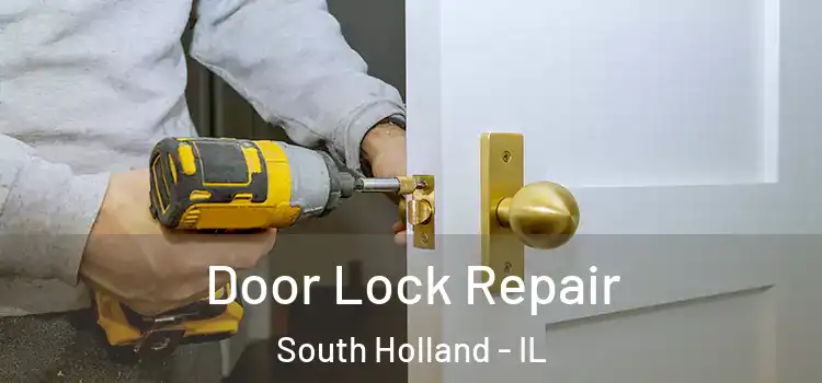  Door Lock Repair South Holland - IL
