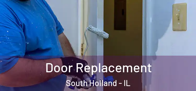 Door Replacement South Holland - IL