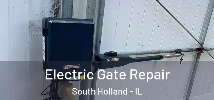 Electric Gate Repair South Holland - IL