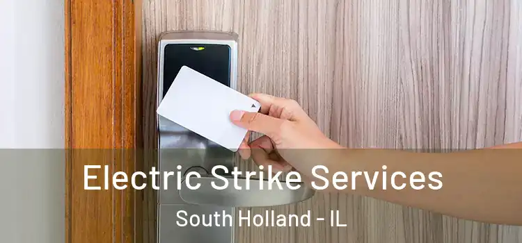  Electric Strike Services South Holland - IL
