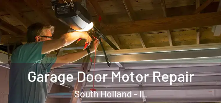  Garage Door Motor Repair South Holland - IL