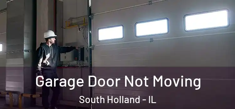  Garage Door Not Moving South Holland - IL