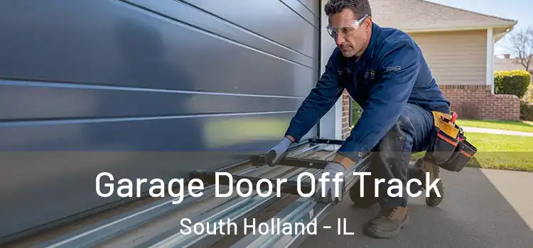  Garage Door Off Track South Holland - IL