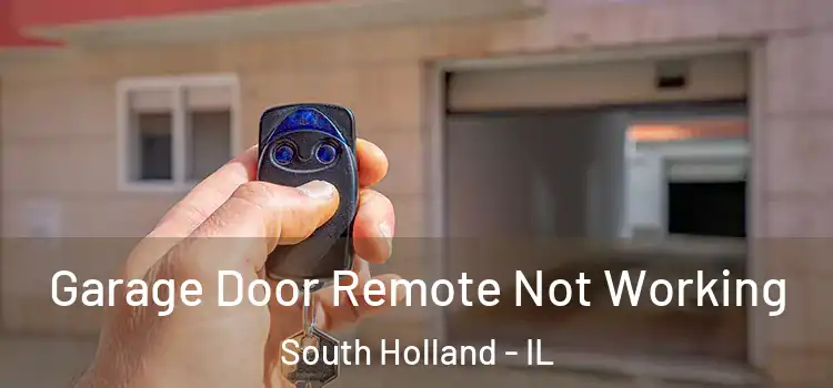  Garage Door Remote Not Working South Holland - IL
