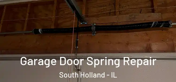  Garage Door Spring Repair South Holland - IL