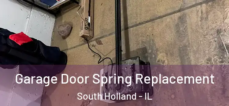  Garage Door Spring Replacement South Holland - IL