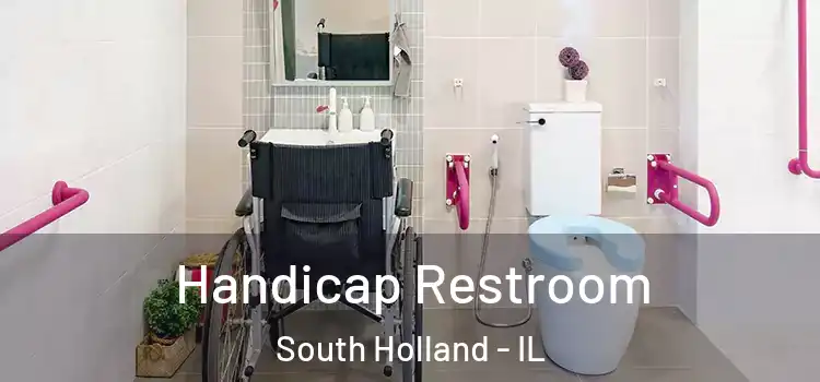 Handicap Restroom South Holland - IL