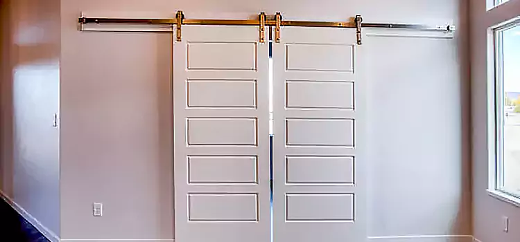 Glass Barn Door with Installation Hardware Kit South Holland