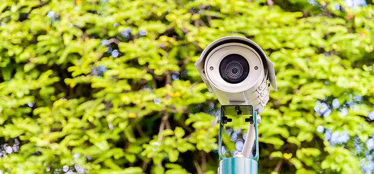 Advanced Surveillance Solutions for Every Need in South Holland