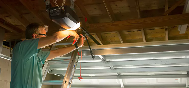 Garage Door Opener Sales and Installation South Holland