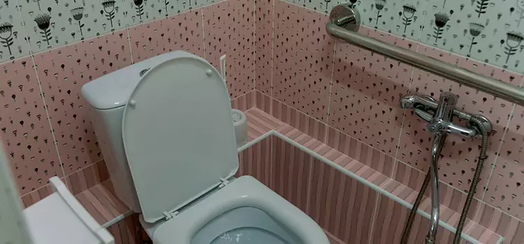 Meeting Diverse Needs With Accessible Restroom Solutions in South Holland, IL