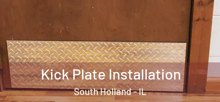  Kick Plate Installation South Holland - IL