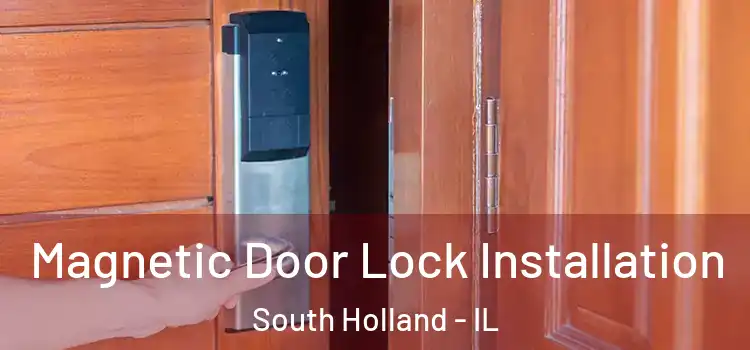  Magnetic Door Lock Installation South Holland - IL