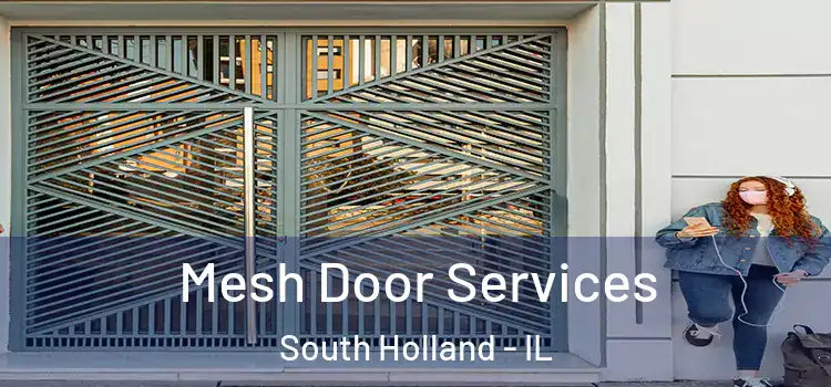  Mesh Door Services South Holland - IL