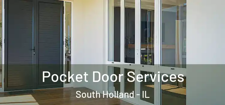  Pocket Door Services South Holland - IL