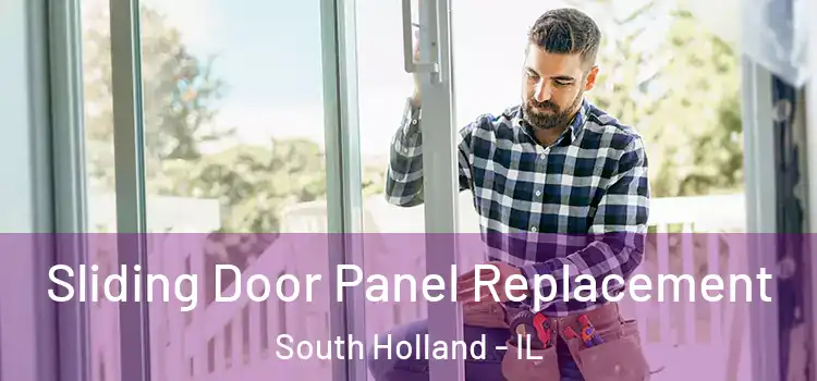  Sliding Door Panel Replacement South Holland - IL