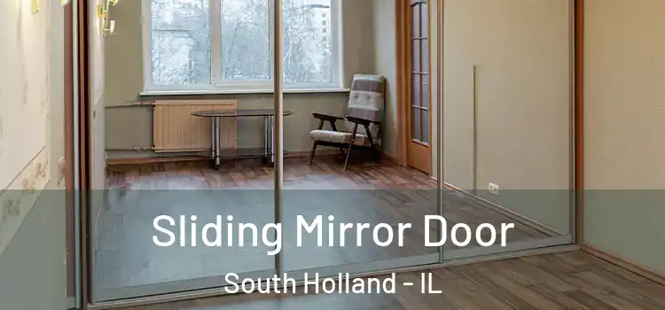  Sliding Mirror Door South Holland - IL