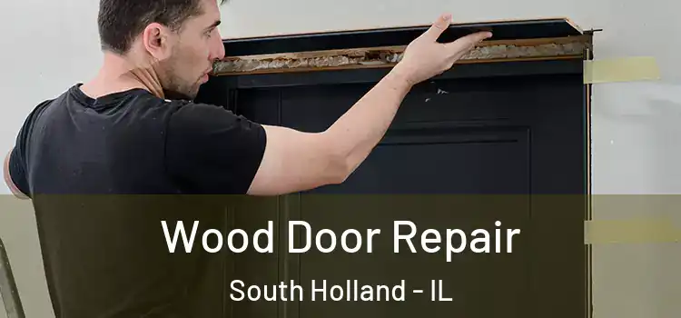  Wood Door Repair South Holland - IL
